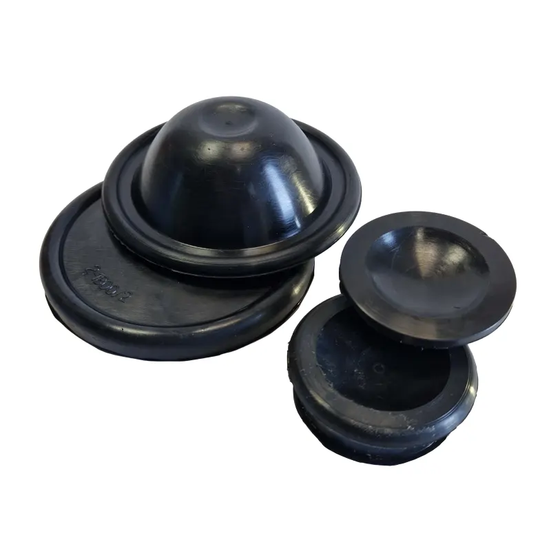 Setovi membrana i zaptivki